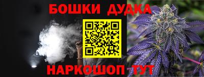 индика Краснознаменск