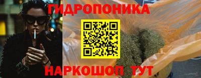 индика Краснознаменск