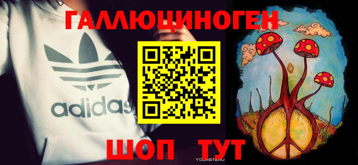 Псилоцибиновые грибы Psilocybe  Вход с VPN  Губкин 